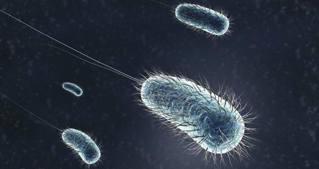 Legionella: The hidden risk