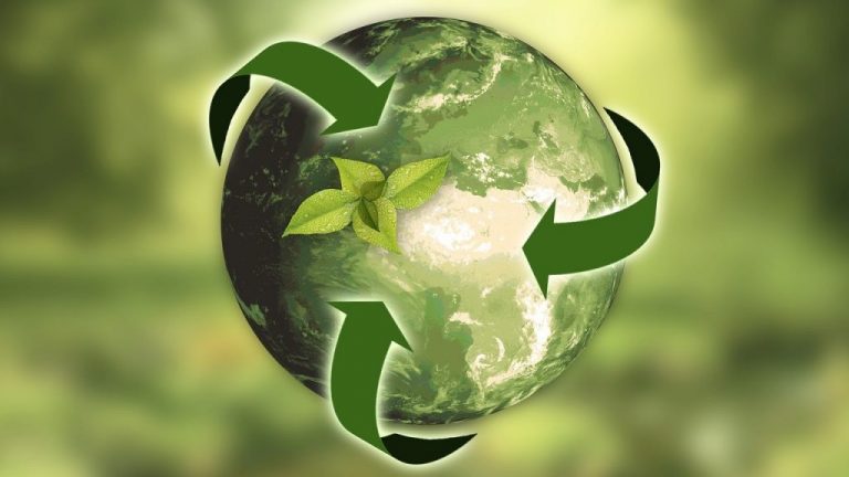 Sustainability best practices for businesses