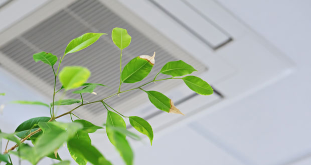 Clean Air Day to highlight important role of building ventilation