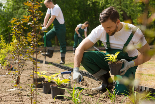10 Summer Landscaping Projects for Facilities Managers
