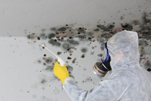 Prevent Indoor Mold to Protect Facility Occupants