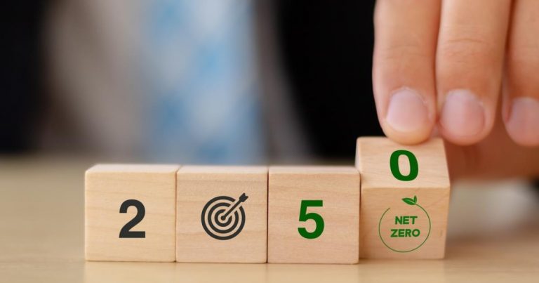 The race for quality carbon offsets