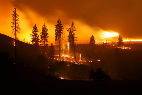 Back to Basics: 10 Ways to Prepare Your Facilities for Wildfires