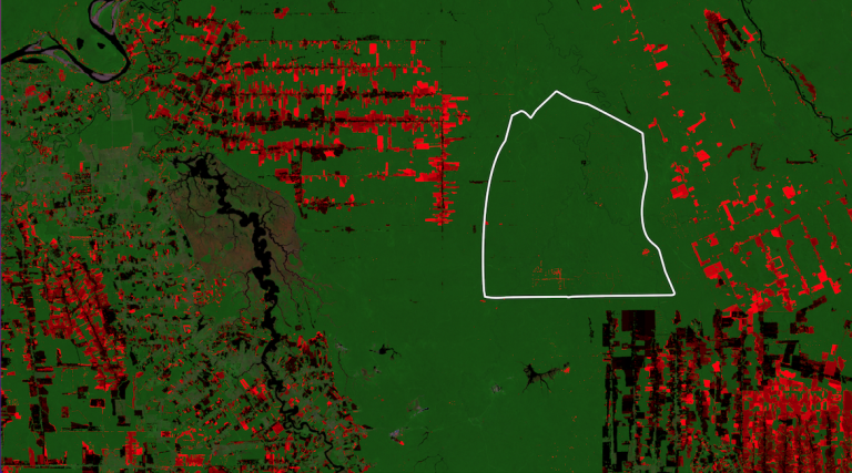 4 ways carbon crediting is improving