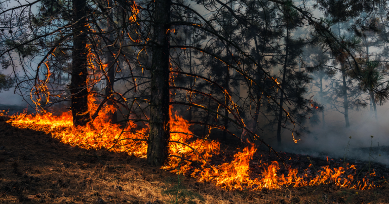 How the escalating climate crisis is impacting global livelihoods