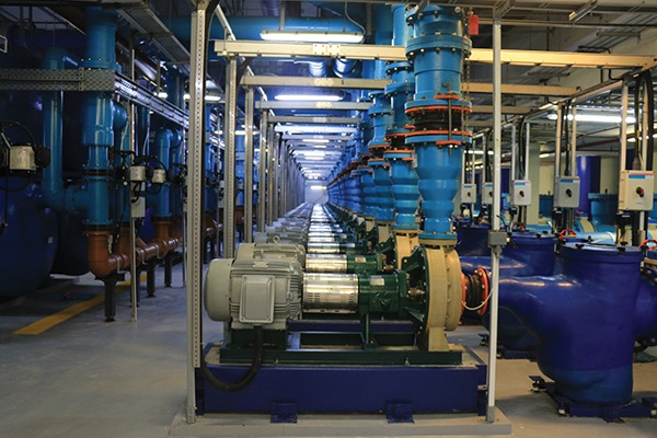 Analyze Assets For RCM Success