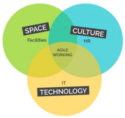 A Holistic Approach to FM: How to Boost Your Organizational Agility