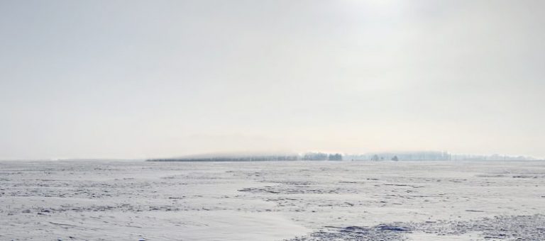 How Technology Can Help Save Businesses $