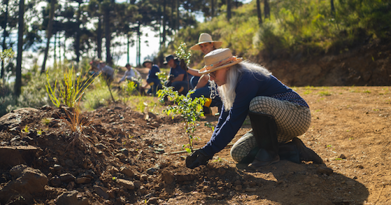 How the private sector can help mitigate climate change