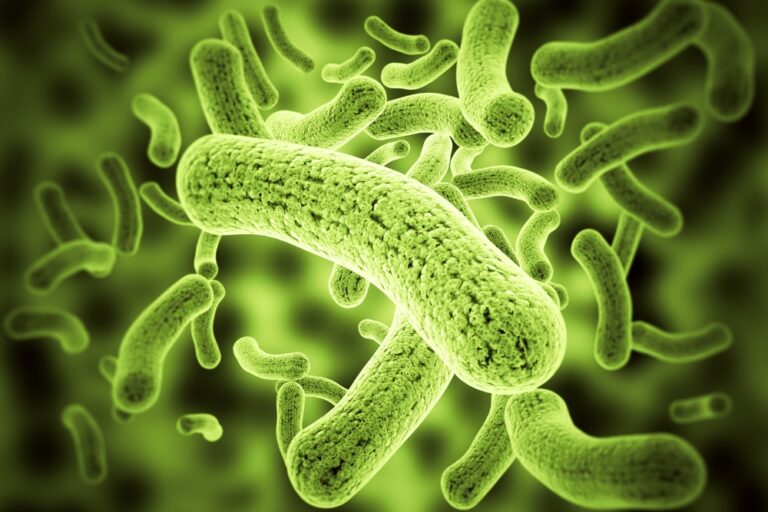 ASHRAE Highlights Resources to Combat Legionnaires’ Disease Risk in Buildings