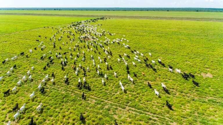 JBS pledged to be net-zero by 2040. It’s far off track