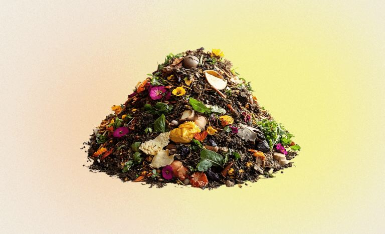 Why composting is more accessible than it seems (and getting easier)