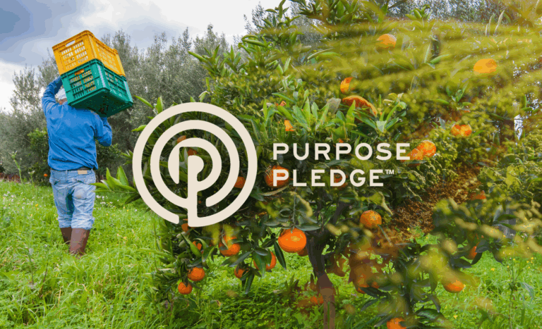 Inside Dr. Bronner’s new community for redefining corporate ‘purpose’