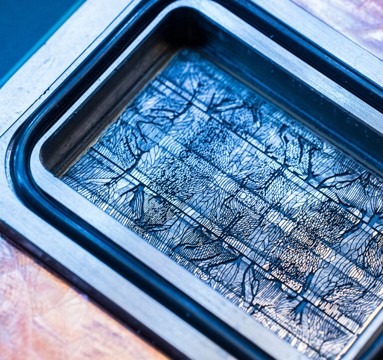 No ‘fireball squirrels’: Nature and next-generation data center design