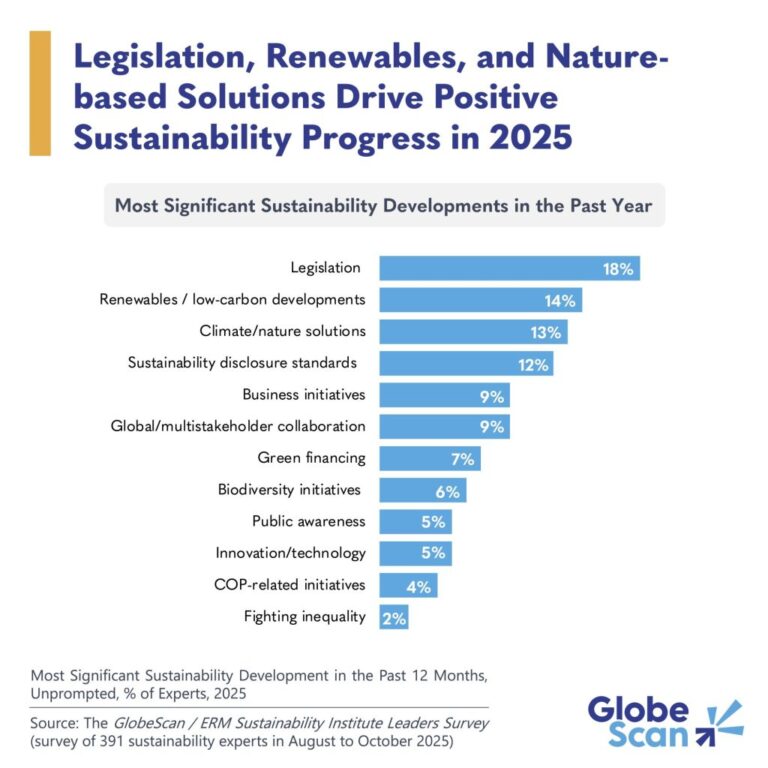 The top sustainability developments of 2025, according to practitioners